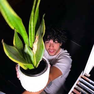 Meet your Posher, Jojo